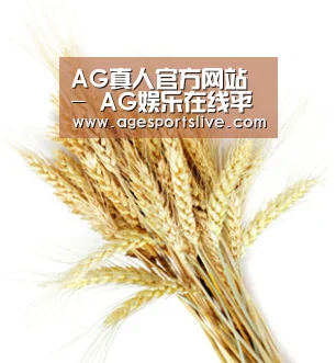 AG真人官方网站 - AG娱乐在线平台入口