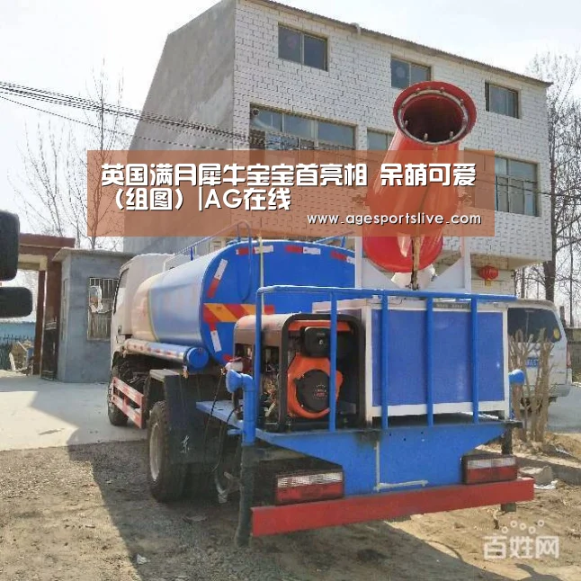 AG在线