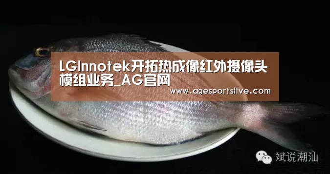 LGInnotek开拓热成像红外摄像头模组业务_AG官网(图2) AG官网