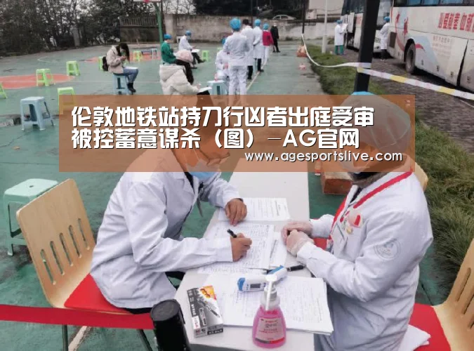 伦敦地铁站持刀行凶者出庭受审 被控蓄意谋杀(图)-AG官网(图3) AG真人