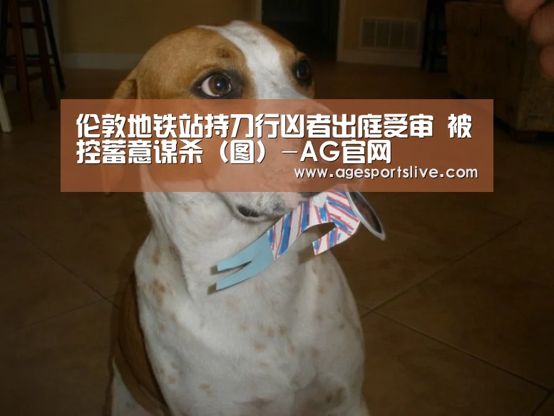 伦敦地铁站持刀行凶者出庭受审 被控蓄意谋杀(图)-AG官网(图2) AG入口
