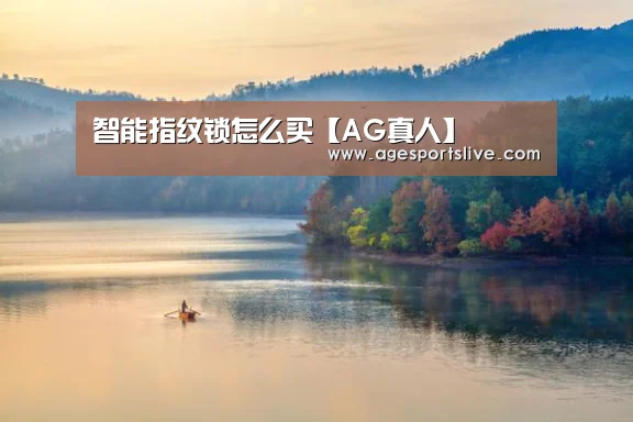智能指纹锁怎么买【AG真人】(图2) AG官网