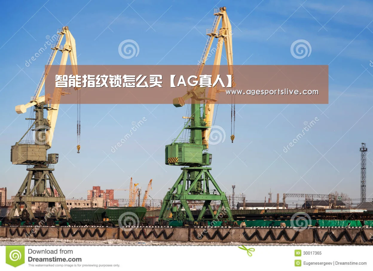 智能指纹锁怎么买【AG真人】(图1) AG入口