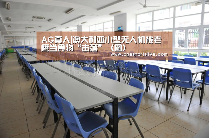 AG真人|澳大利亚小型无人机被老鹰当食物“击落”(图)(图2) AG入口