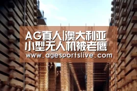 AG真人|澳大利亚小型无人机被老鹰当食物“击落”(图)(图4) AG在线