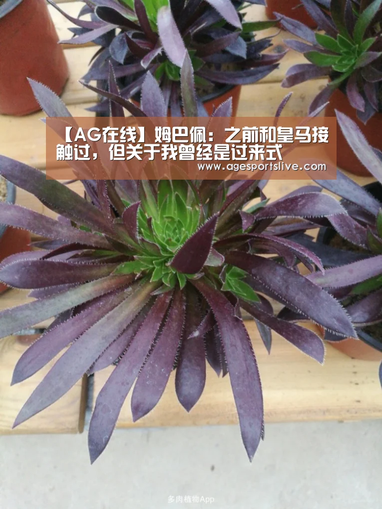 【AG在线】姆巴佩:之前和皇马接触过,但关于我曾经是过来式(图1) AG真人